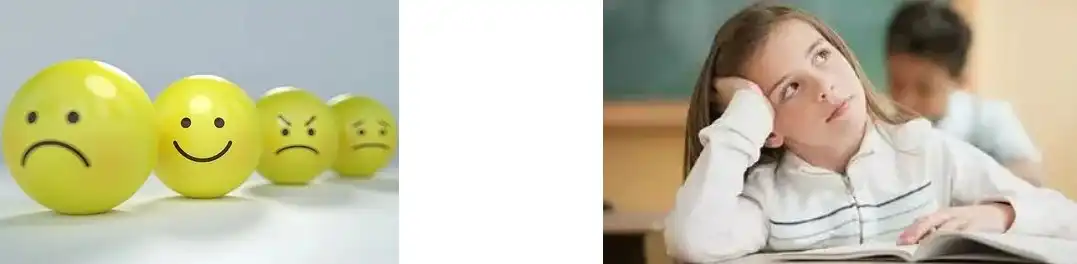 Shilajit Extract Powder Shilajit Extract Powder