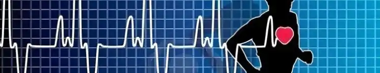 Kudzu Root Extract Kudzu Root Extract