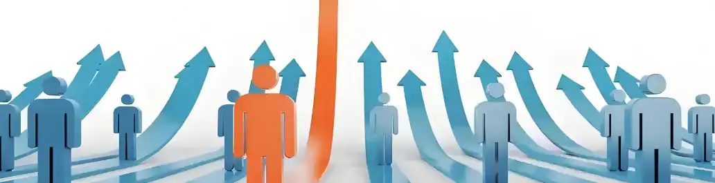 Citrus Aurantium Extract Citrus Aurantium Extract