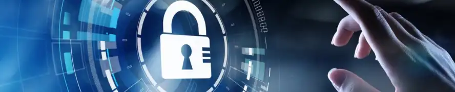 Corn Protein powder Corn Protein powder