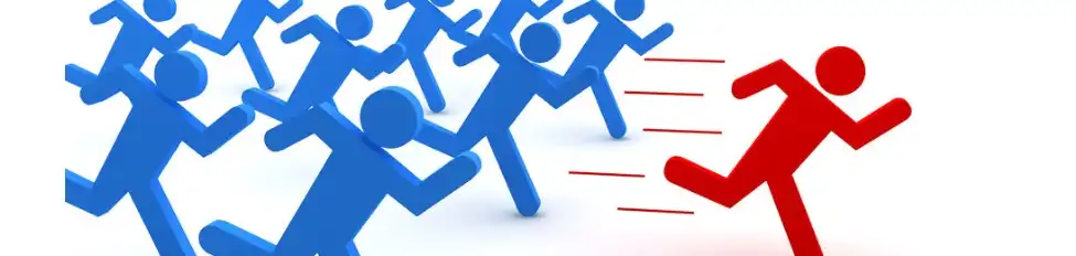 Lycopene Powder Lycopene Powder