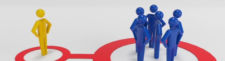 Citrus Aurantium Extract Synephrine Citrus Aurantium Extract Synephrine