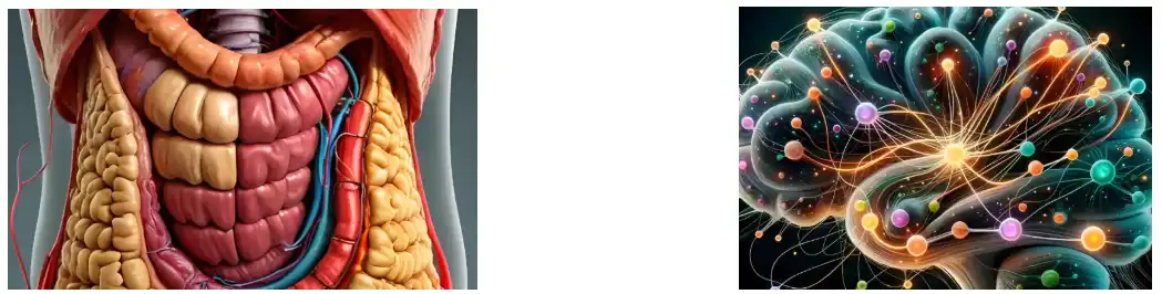 Lion's Mane Mushroom Extract Lion's Mane Mushroom Extract