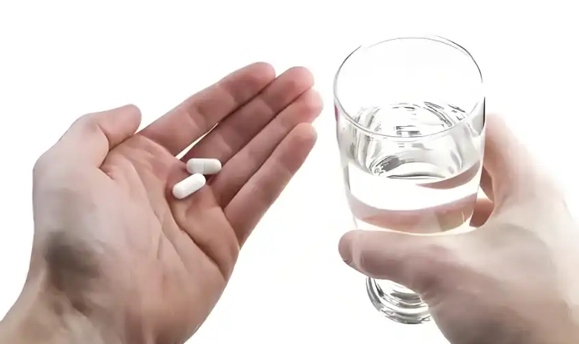 Lion's Mane Mushroom Extract