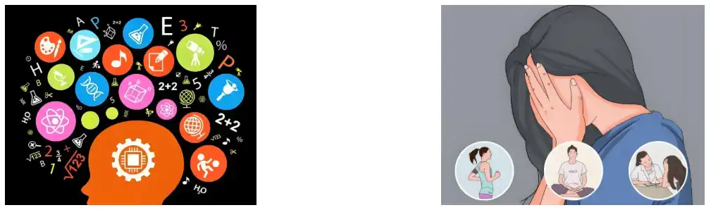 Lion's Mane Mushroom Extract Lion's Mane Mushroom Extract