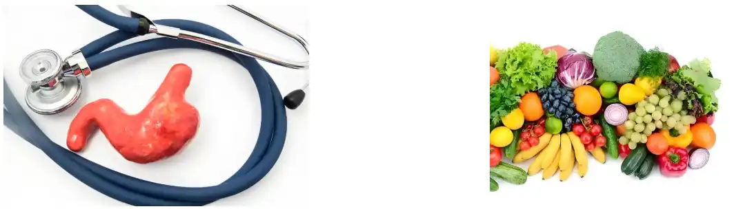 Fava Bean Protein Powder Fava Bean Protein Powder