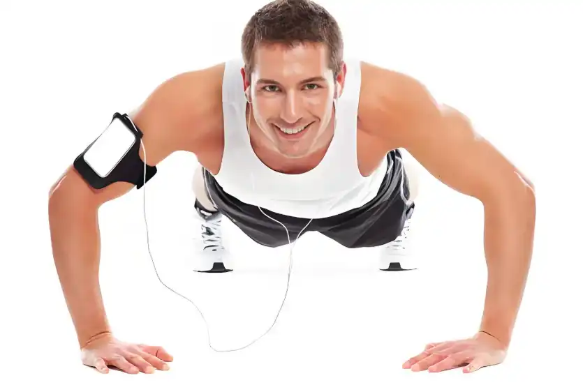 Fava Bean Protein Powder Fava Bean Protein Powder