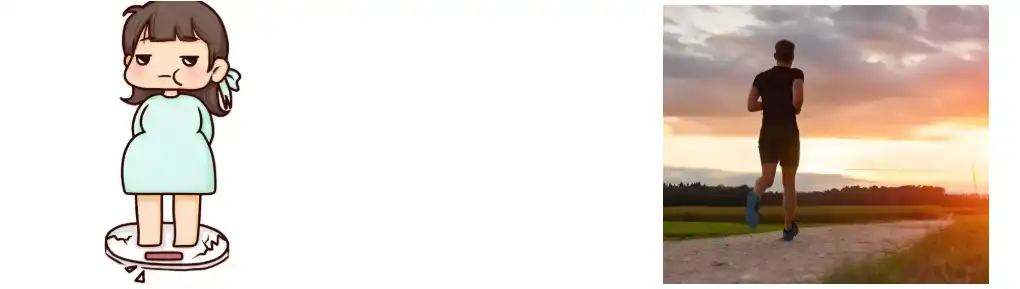 Fava Bean Protein Powder Fava Bean Protein Powder