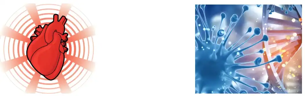 Flaxseed Extract Powder Flaxseed Extract Powder