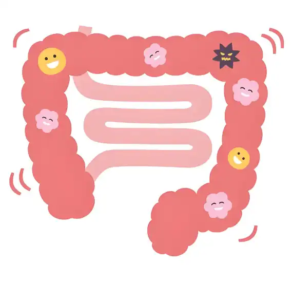 Flaxseed Extract Powder