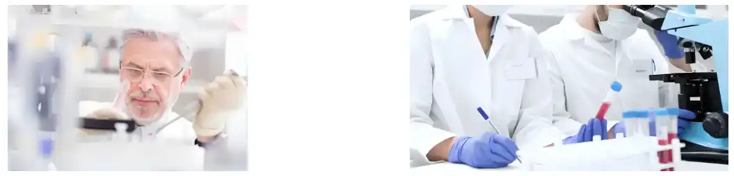 Grape Seed Extract Powder