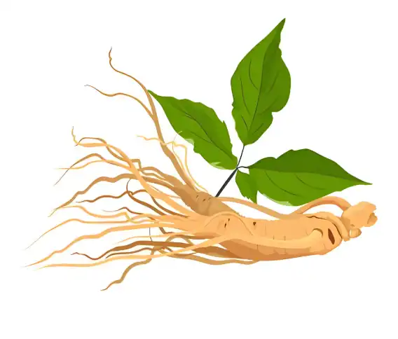 Ginseng Extract Powder Ginseng Extract Powder