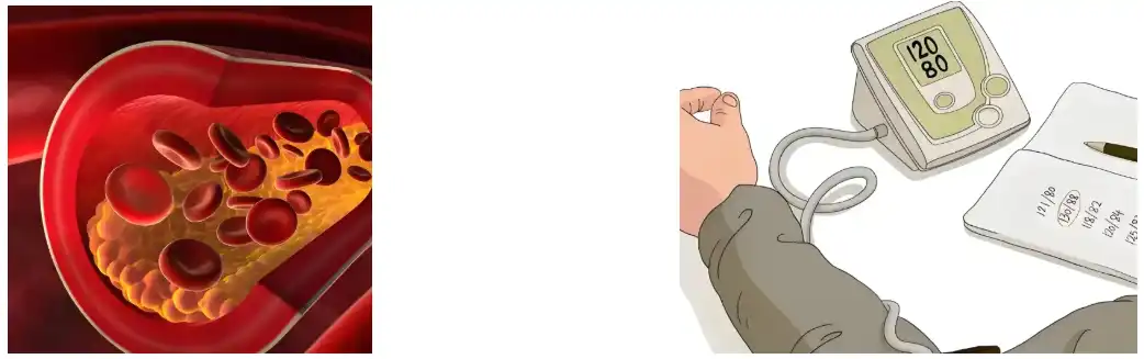 Pectina de mazá en po Pectina de mazá en po