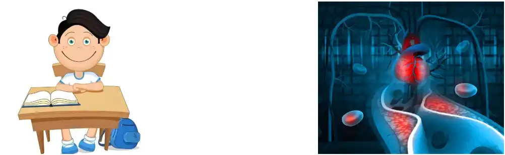 Green Tea Extract Powder Green Tea Extract Powder