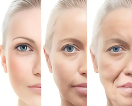 Lion's Mane Mushroom Extract Lion's Mane Mushroom Extract