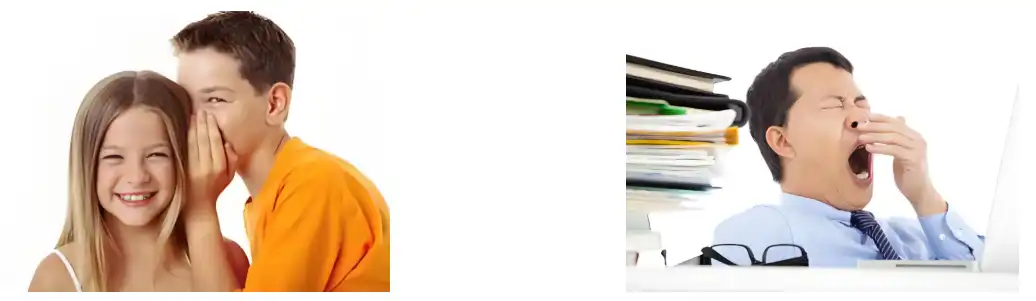 Lion's Mane Mushroom Extract Lion's Mane Mushroom Extract