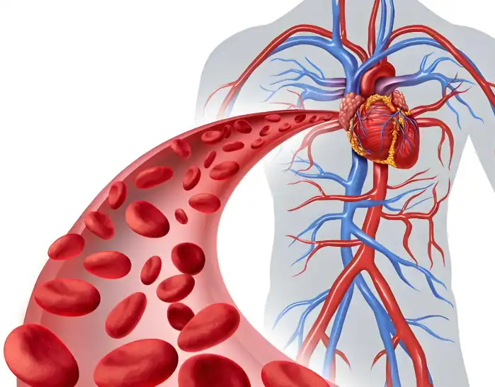 Lion's Mane Mushroom Extract Lion's Mane Mushroom Extract