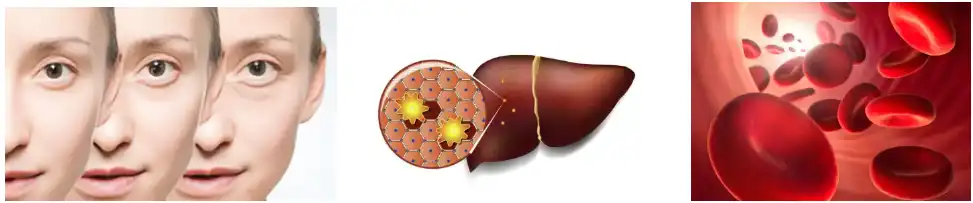 Reishi Mushroom Powder Reishi Mushroom Powder