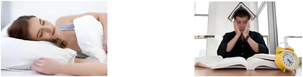 Reishi Mushroom Powder manufacturers Reishi Mushroom Powder manufacturers