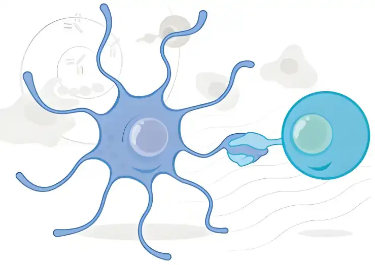 Reishi Mushroom Powder manufacturers Reishi Mushroom Powder manufacturers