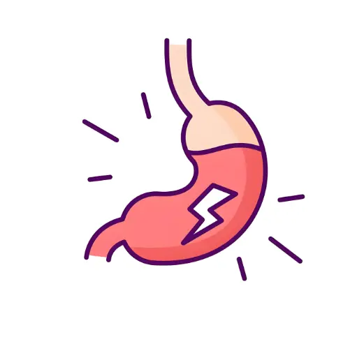 Reishi Mushroom Powder manufacturers Reishi Mushroom Powder manufacturers