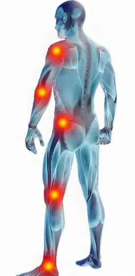 Fish Collagen Peptide Fish Collagen Peptide