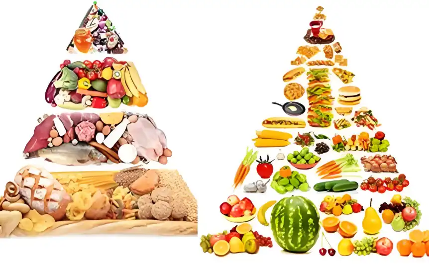 Fish Collagen Peptide suppliers Fish Collagen Peptide suppliers