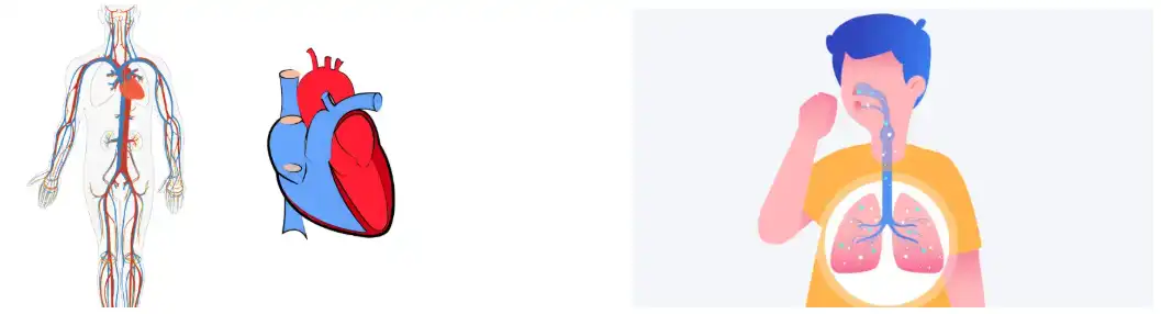 Fucoidan Powder Fucoidan Powder