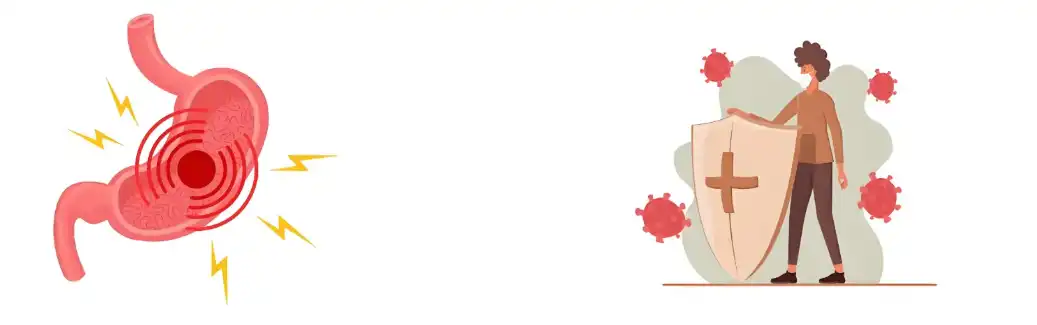 Yeast Beta Glucan Powder factory Yeast Beta Glucan Powder factory