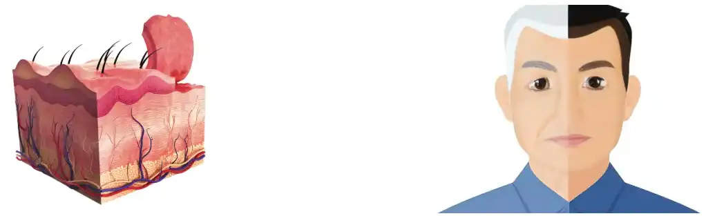 Beta Carotene Powder Beta Carotene Powder