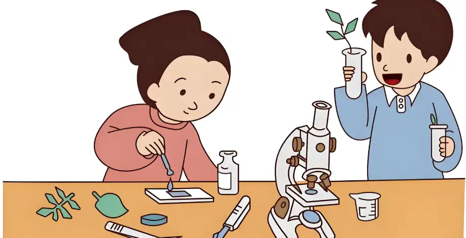 Resveratrol Powder Resveratrol Powder