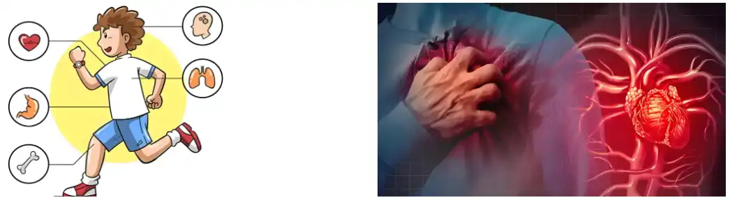 Resveratrol Powder Resveratrol Powder