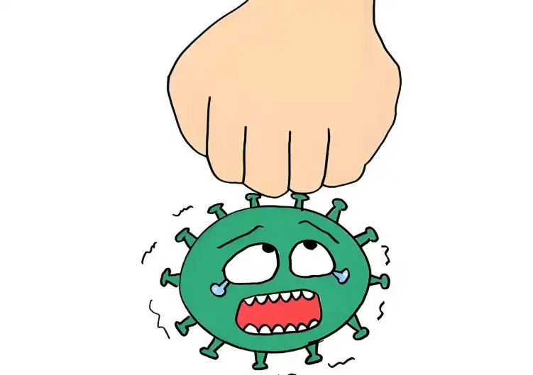 Vine Tea Extract Vine Tea Extract