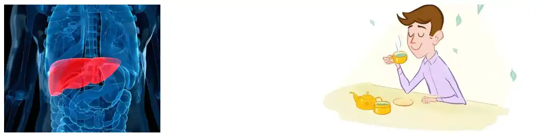 Vine Tea Extract Vine Tea Extract