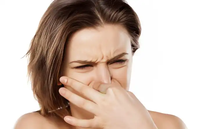 Vine Tea Extract Vine Tea Extract