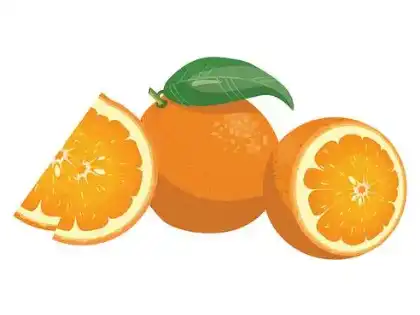 Citrus Aurantium Extract