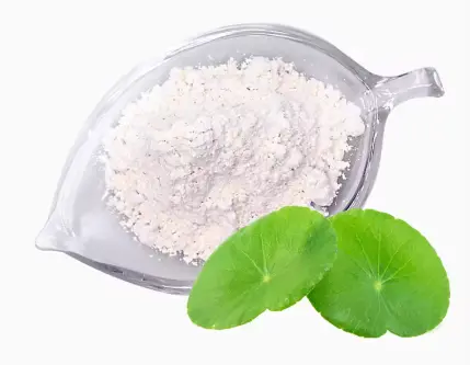 Centella Asiatica Extract Powder Centella Asiatica Extract Powder