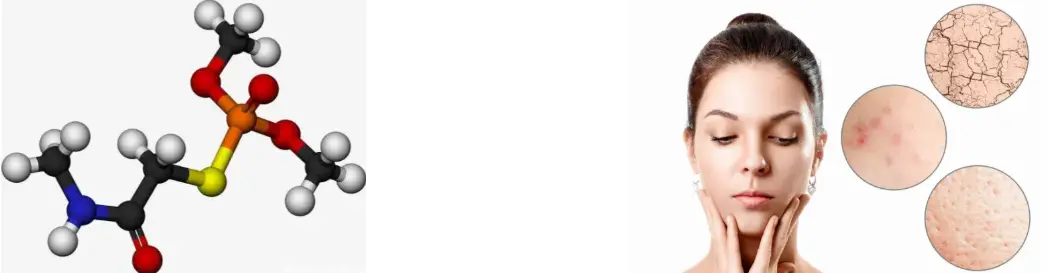 Centella Asiatica Extract Powder