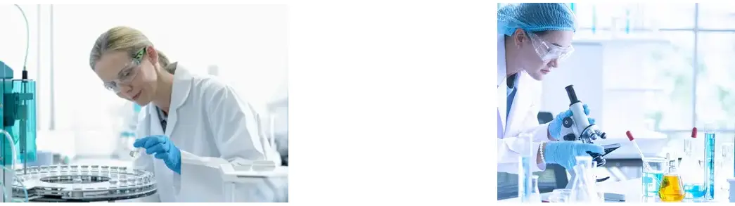 Centella Asiatica Extract Powder