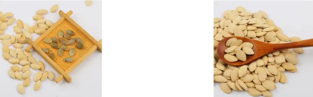 Pumpkin Seed Protein Powder Pumpkin Seed Protein Powder