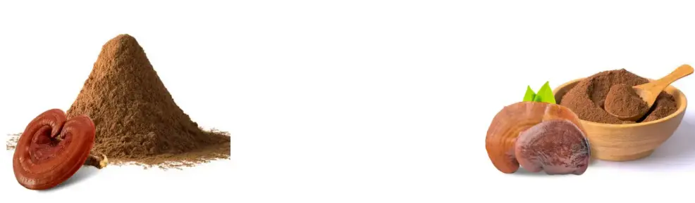 Reishi Mushroom Powder