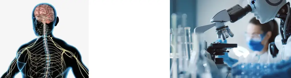 Reishi Mushroom Powder