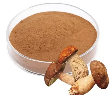 Boletus Extract Boletus Extract