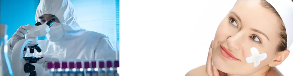 Boletus Extract Boletus Extract