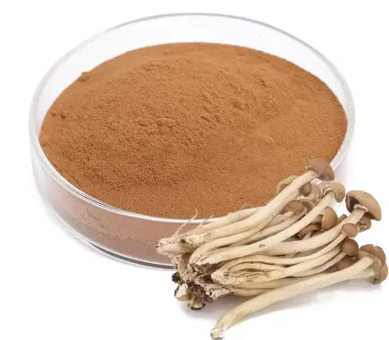Agrocybe Aegerita Extract