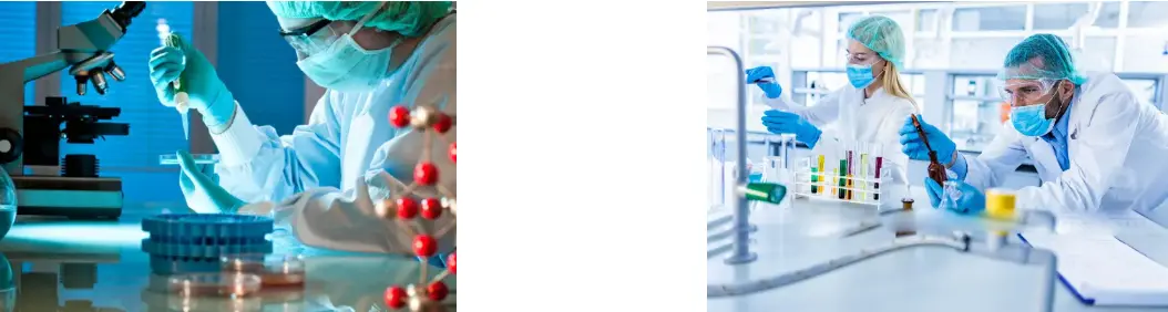 Agrocybe Aegerita Extract