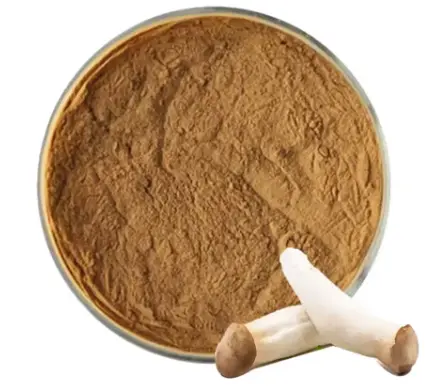 Coprinus Comatus Extract
