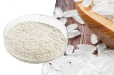 Rice Protein Peptide Rice Protein Peptide