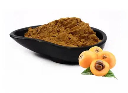 Loquat Leaf Extract Powder