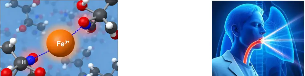 Loquat Leaf Extract Powder Loquat Leaf Extract Powder